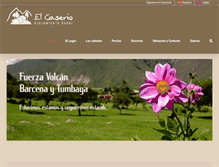 Tablet Screenshot of caseriojujuy.com